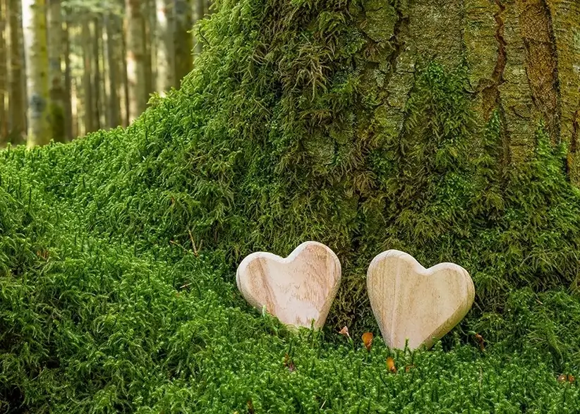 Zwei Holzherzen leigen im Moos